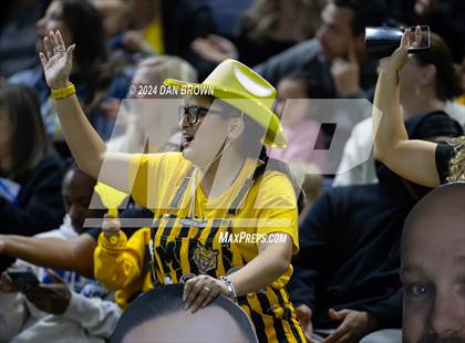 Thumbnail 1 in Paradise vs. Malakoff (UIL 3A D1 Semifinal) photogallery.