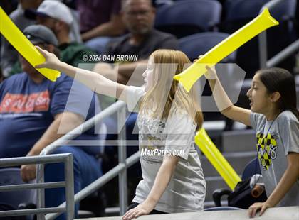 Thumbnail 3 in Paradise vs. Malakoff (UIL 3A D1 Semifinal) photogallery.
