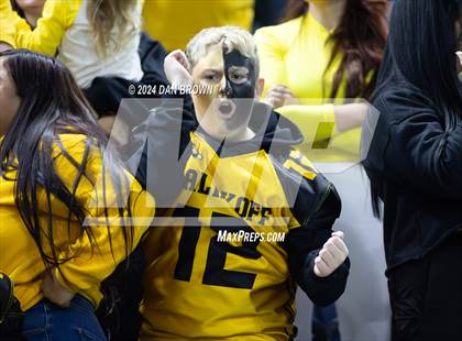 Thumbnail 1 in Paradise vs. Malakoff (UIL 3A D1 Semifinal) photogallery.