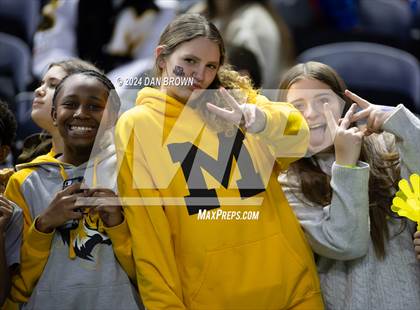 Thumbnail 2 in Paradise vs. Malakoff (UIL 3A D1 Semifinal) photogallery.