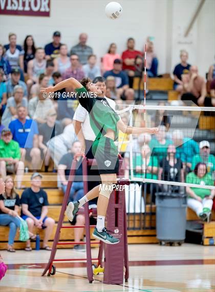 Thumbnail 2 in Nevada Union vs. El Camino (CIF SJS D2 Final) photogallery.