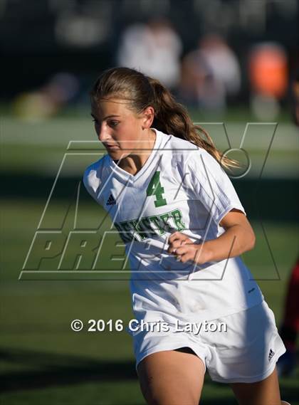 Thumbnail 1 in Somers @ Brewster photogallery.