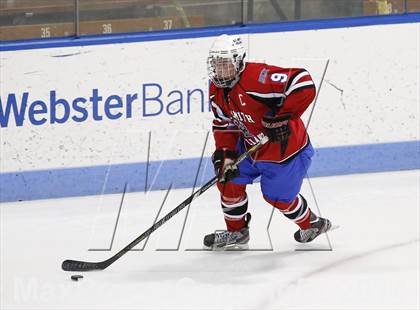 Thumbnail 2 in Newtown vs. E.O. Smith/Tolland (CIAC Division III Final) photogallery.