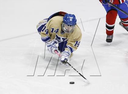 Thumbnail 1 in Newtown vs. E.O. Smith/Tolland (CIAC Division III Final) photogallery.