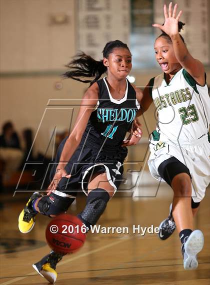 Thumbnail 2 in Sheldon @ Monterey Trail  photogallery.
