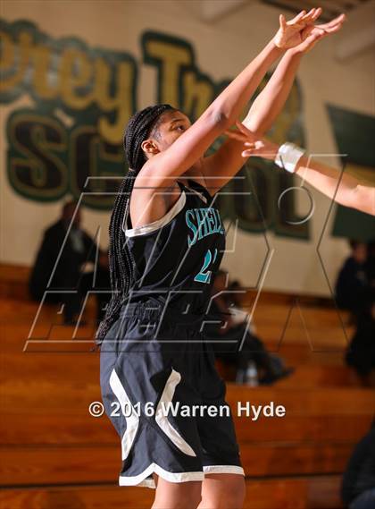 Thumbnail 1 in Sheldon @ Monterey Trail  photogallery.