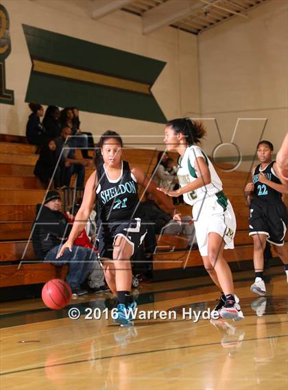 Thumbnail 1 in Sheldon @ Monterey Trail  photogallery.