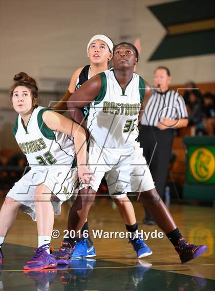 Thumbnail 1 in Sheldon @ Monterey Trail  photogallery.