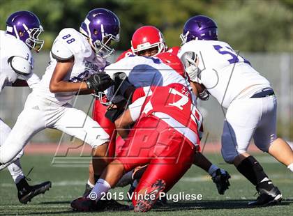 Thumbnail 3 in Hoover @ Burroughs photogallery.