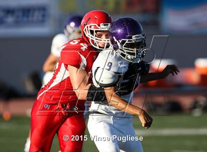 Thumbnail 3 in Hoover @ Burroughs photogallery.
