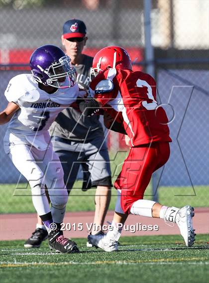 Thumbnail 1 in Hoover @ Burroughs photogallery.
