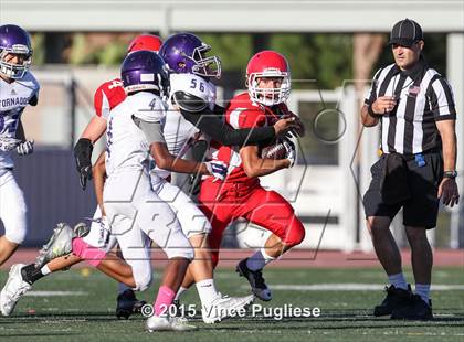 Thumbnail 3 in Hoover @ Burroughs photogallery.