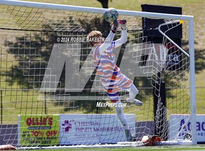 Thumbnail 3 in Palestine vs. Panther Creek (UIL 4A Regional Semifinal Playoff) photogallery.