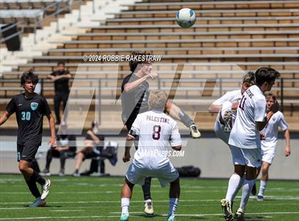Thumbnail 1 in Palestine vs. Panther Creek (UIL 4A Regional Semifinal Playoff) photogallery.