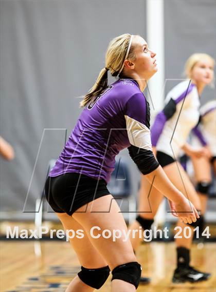 Thumbnail 1 in Hallsville vs Wylie  photogallery.