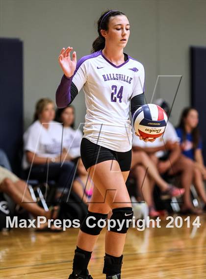 Thumbnail 2 in Hallsville vs Wylie  photogallery.