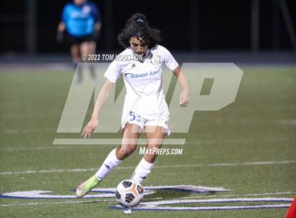 Thumbnail 1 in Bishop Amat @ La Salle photogallery.