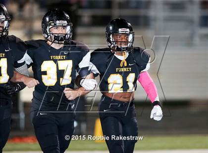 Thumbnail 2 in Terrell @ Forney photogallery.