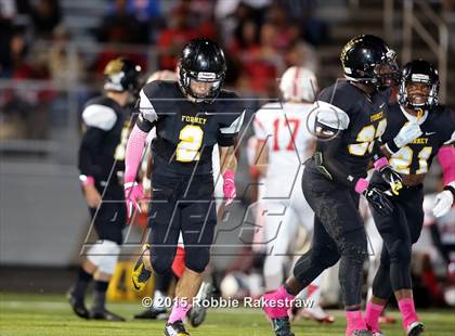 Thumbnail 3 in Terrell @ Forney photogallery.