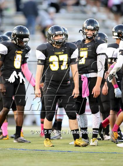 Thumbnail 2 in Terrell @ Forney photogallery.