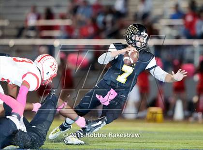 Thumbnail 3 in Terrell @ Forney photogallery.