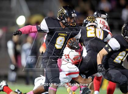 Thumbnail 3 in Terrell @ Forney photogallery.