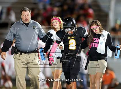 Thumbnail 3 in Terrell @ Forney photogallery.