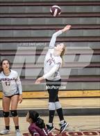 Photo from the gallery "Timpview @ Jordan"