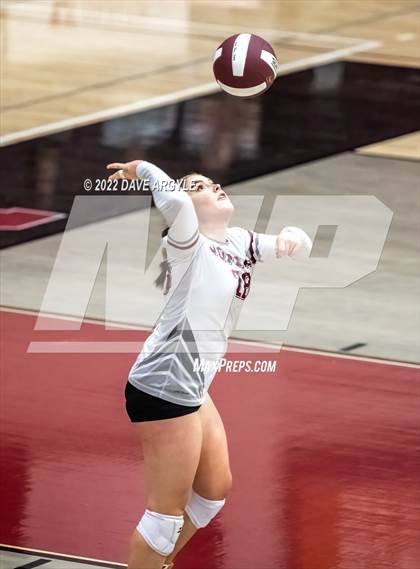 Thumbnail 1 in Timpview @ Jordan photogallery.