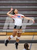 Photo from the gallery "Timpview @ Jordan"