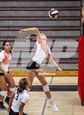 Photo from the gallery "Timpview @ Jordan"