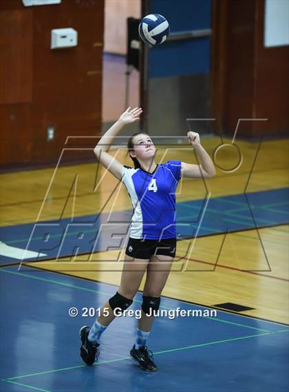 Thumbnail 3 in Cardinal Newman @ Analy photogallery.