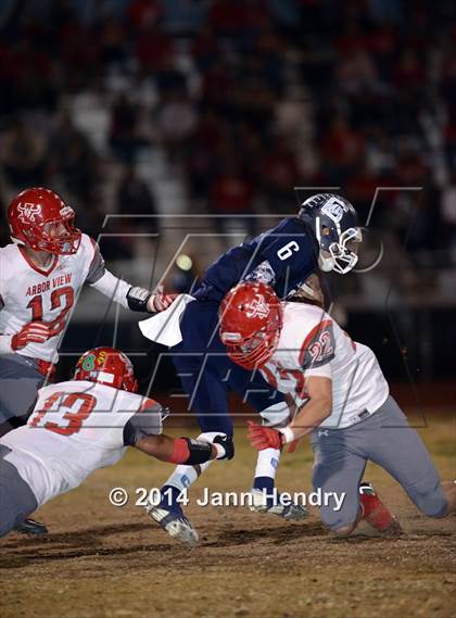 Thumbnail 1 in Arbor View @ Centennial photogallery.