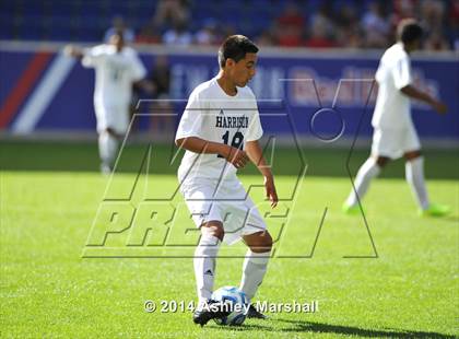 Thumbnail 2 in Kearny vs. Harrison (@ Red Bull Arena) photogallery.