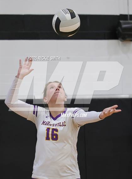Thumbnail 1 in Marksville @ Leesville photogallery.