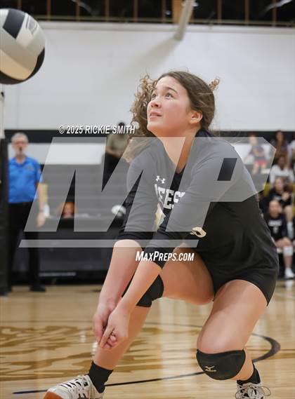 Thumbnail 3 in Marksville @ Leesville photogallery.