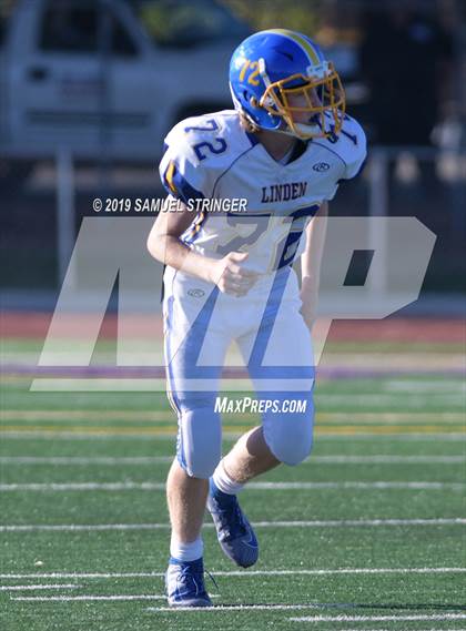 Thumbnail 2 in Linden @ Bret Harte photogallery.
