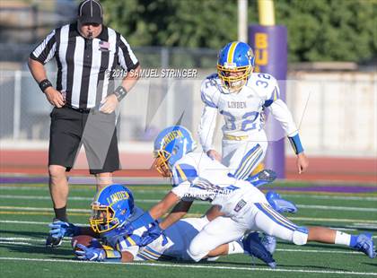 Thumbnail 3 in Linden @ Bret Harte photogallery.