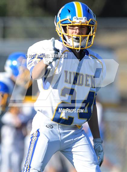 Thumbnail 1 in Linden @ Bret Harte photogallery.