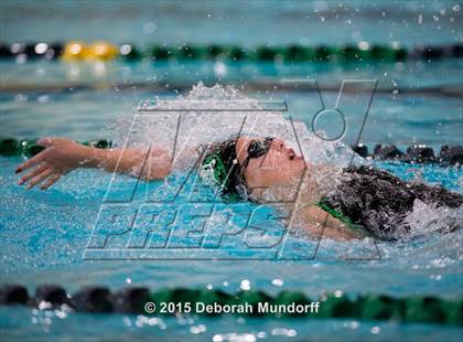 Thumbnail 3 in Sheldon @ Thurston photogallery.