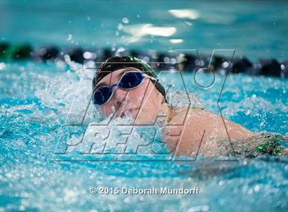 Thumbnail 3 in Sheldon @ Thurston photogallery.