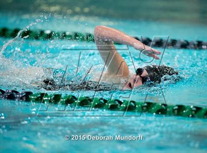Thumbnail 2 in Sheldon @ Thurston photogallery.