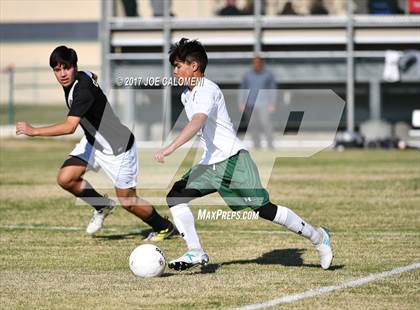 Thumbnail 3 in Churchill vs Holmes photogallery.