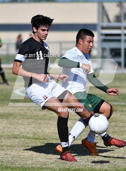 Thumbnail 1 in Churchill vs Holmes photogallery.