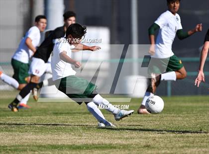 Thumbnail 2 in Churchill vs Holmes photogallery.