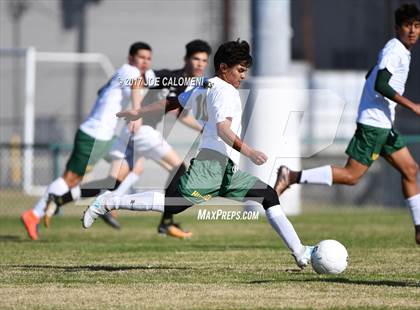 Thumbnail 3 in Churchill vs Holmes photogallery.