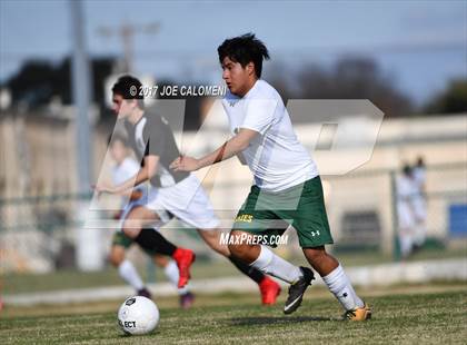 Thumbnail 2 in Churchill vs Holmes photogallery.