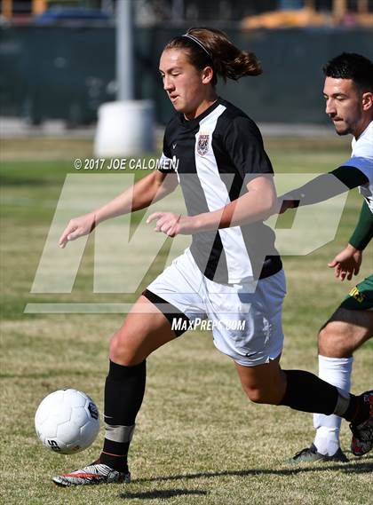 Thumbnail 2 in Churchill vs Holmes photogallery.