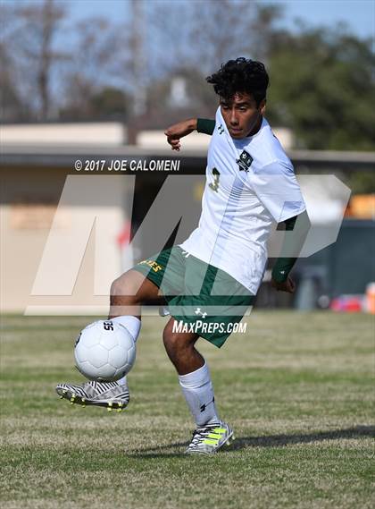 Thumbnail 3 in Churchill vs Holmes photogallery.