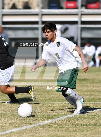 Thumbnail 3 in Churchill vs Holmes photogallery.